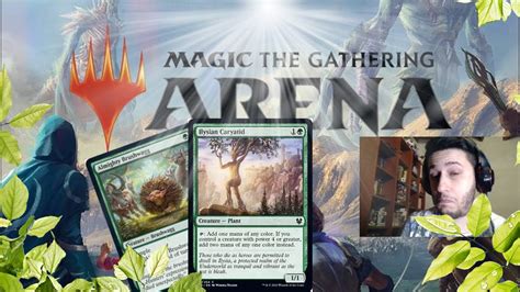 Beat Your Opponents with the Magic Arena Novice Set